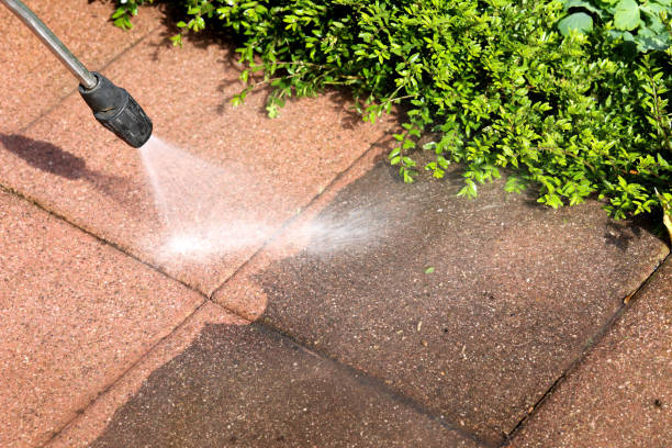 Best Roof Power Washing Services  in Carthage, NY